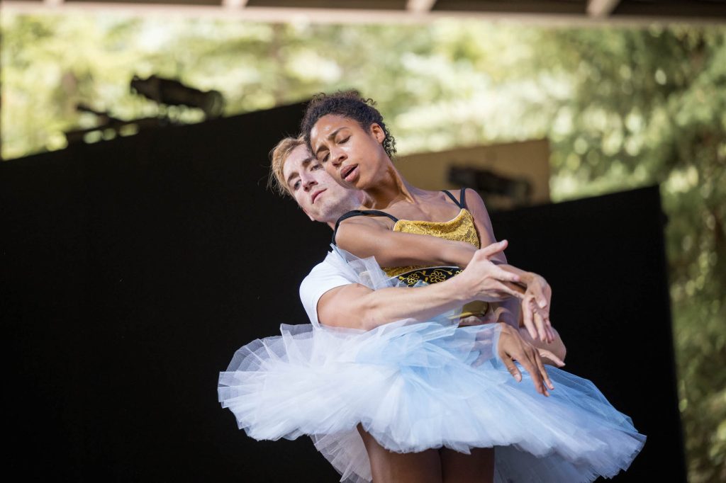 Ballet, bourbon, bbq and burros: Tricia's Weekend Picks 8/4/23 - Vimarsana News